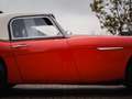 Austin-Healey 3000 BT7 Rouge - thumbnail 13