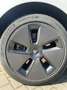 Tesla Model 3 Standard Reichweite Plus Hinterradantrieb - thumbnail 10