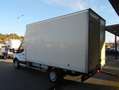 Ford Transit FORD 2.0 ECOBLUE 130 CV  CAJA PAQUETERA L4 Blanco - thumbnail 6