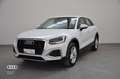 Audi Q2 30 2.0 tdi Business Advanced s-tronic Weiß - thumbnail 1
