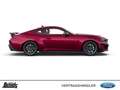 Ford Mustang Fastback 5.0 Ti-VCT V8 Aut. Dark Horse Burdeos - thumbnail 5