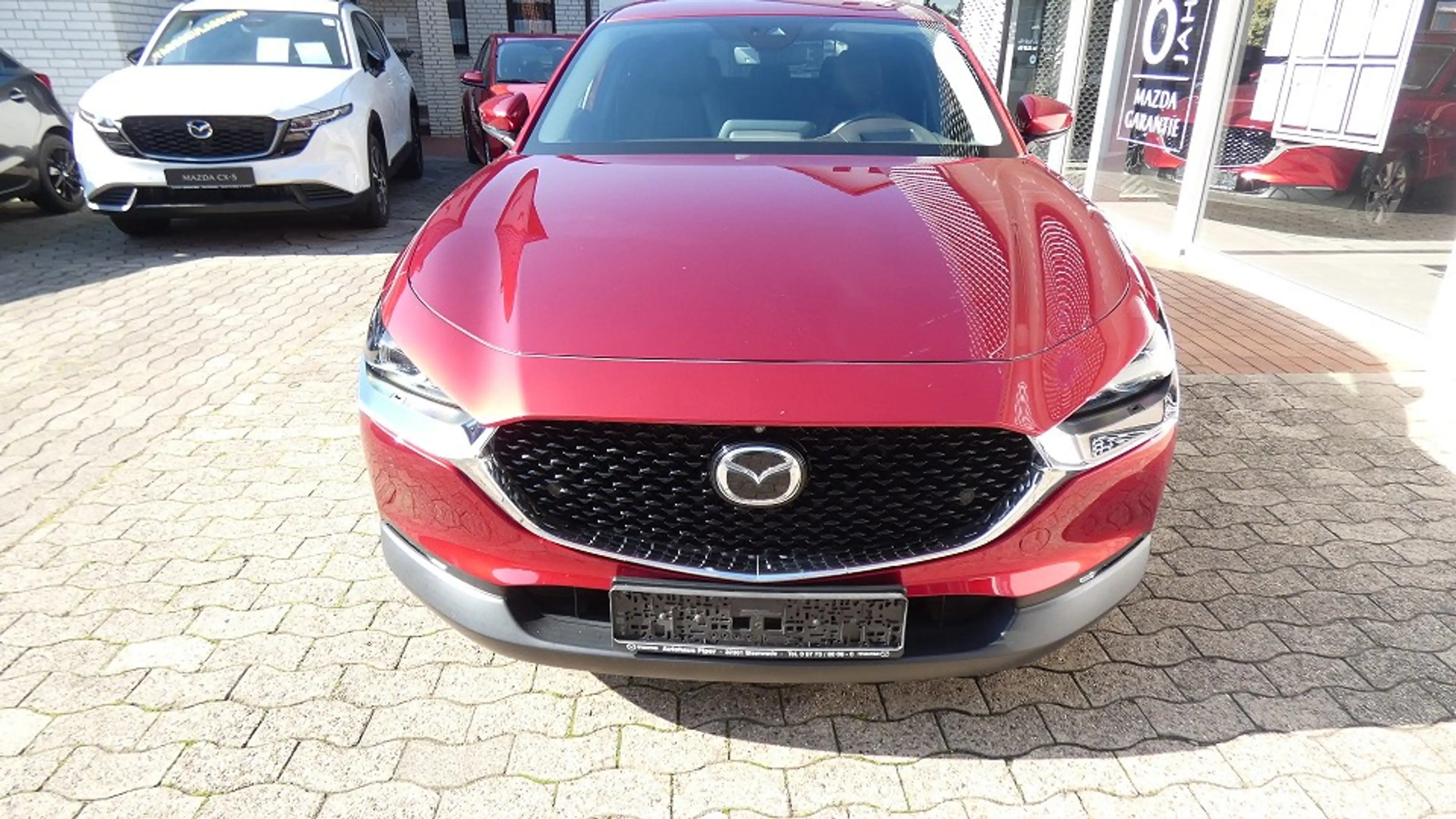 Mazda CX-30 SKYACTIV-X 2.0 M Hybrid Selection Alu 18" Bose Des — photo 3