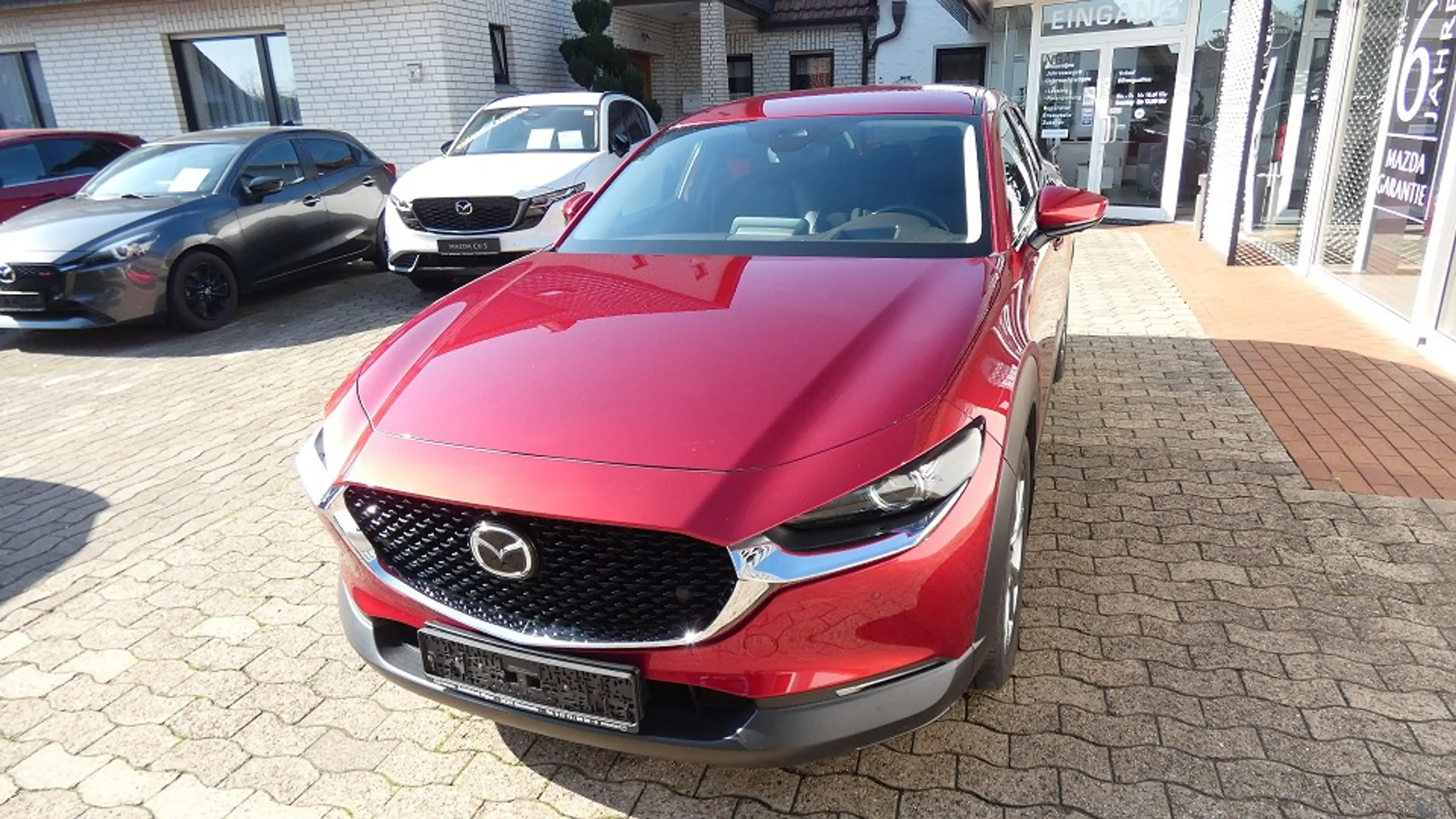 Mazda CX-30 SKYACTIV-X 2.0 M Hybrid Selection Alu 18" Bose Des — photo 2