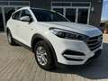 Hyundai TUCSON 1.7 CRDI 115CV COMFORT 2017 Bianco - thumbnail 3