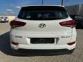Hyundai TUCSON 1.7 CRDI 115CV COMFORT 2017 Bianco - thumbnail 5
