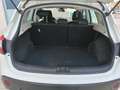 Nissan Qashqai Q+2 1.6 Acenta 4x2 Wit - thumbnail 9