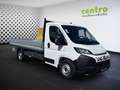 Fiat Ducato MAXI Pritsche L4 180MT Schwingsitz, 10Zoll, AHK Weiß - thumbnail 3