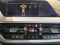 BMW 116 d Business Advantage auto Blau - thumbnail 17