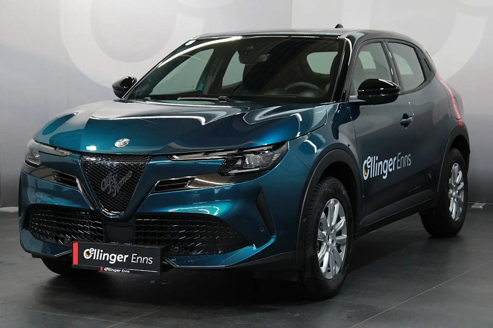 Alfa Romeo Junior Blau - 2