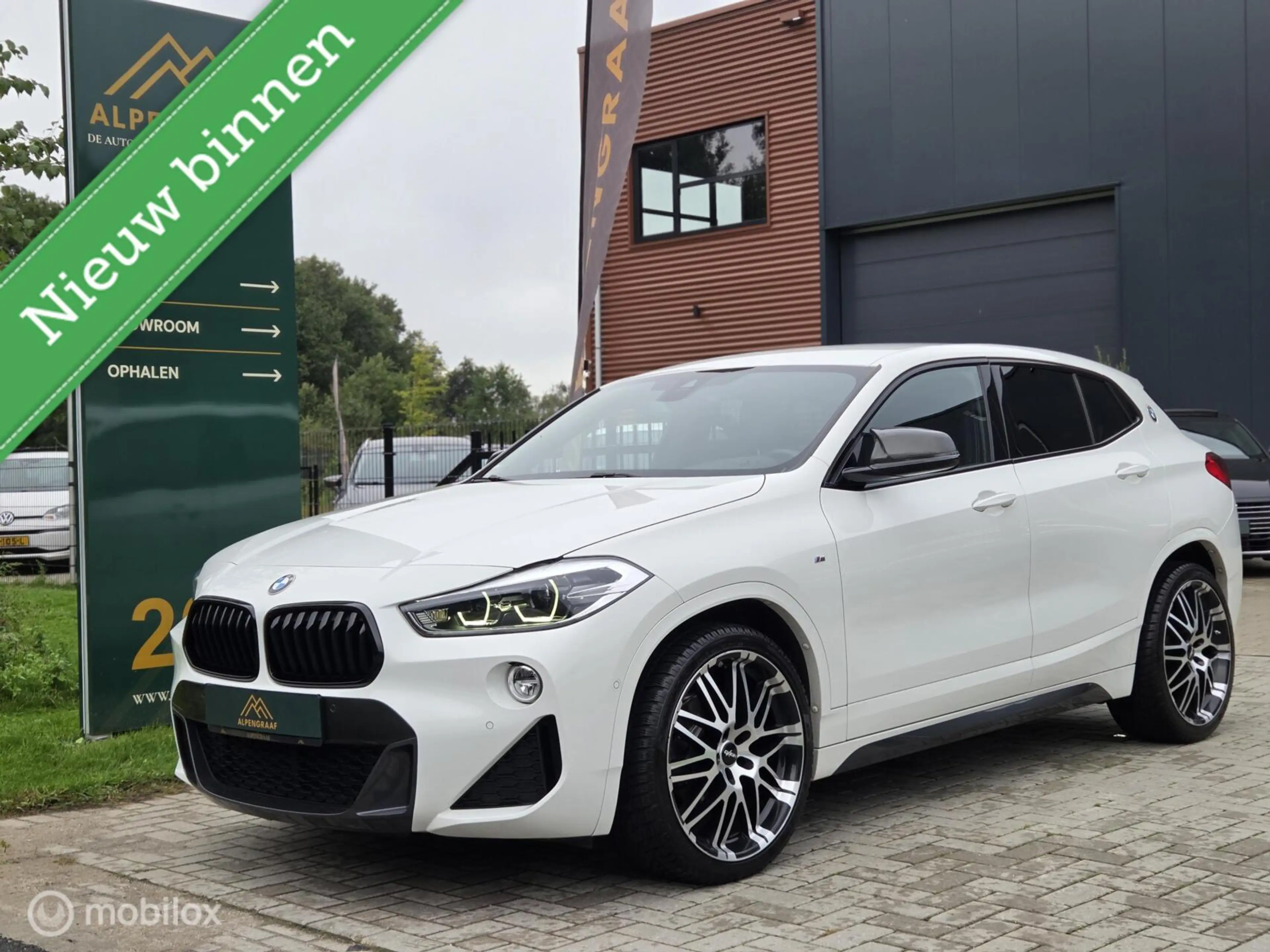 BMW X2 sDrive18i Executive M-Sport Oxigin