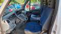 Iveco Daily 2.3 HPI 29L12 L2H2 Weiß - thumbnail 8