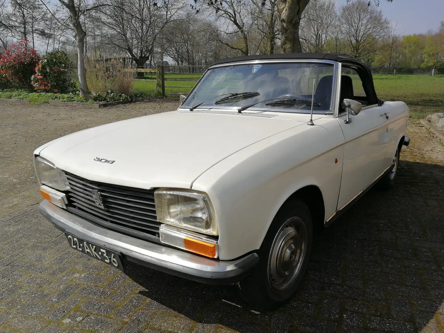 Peugeot 304 Alb - 1