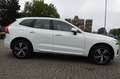 Volvo XC60 XC60 T8 Twin Engine PHEV R-Design R-Design Weiß - thumbnail 4