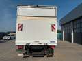 Iveco Daily Koffer 70 C ... Radstand Weiß - thumbnail 5