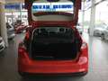 Ford Focus 1.0 Ecoboost Auto-S&S Titanium 125 Rojo - thumbnail 7