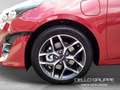 Kia Ceed SW / cee'd SW ceed Sportswagon 1.6 PHEV DCT PLATINUM PANORAMADAC Red - thumbnail 14