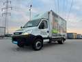 Iveco Daily 65 c17 Weiß - thumbnail 1