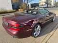 Mercedes-Benz SL 350 DESIGNO-Leder/Bi-Xen/Temp/Com/PTS/Pano/19 Rot - thumbnail 9