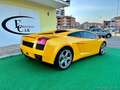 Lamborghini Gallardo 5.0 V10 Coupé - 2004 Giallo - thumbnail 6