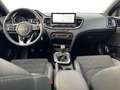 Kia Ceed / cee'd Tourer 1.0 MHEV Style Edition DCT 100 Gris - thumbnail 13