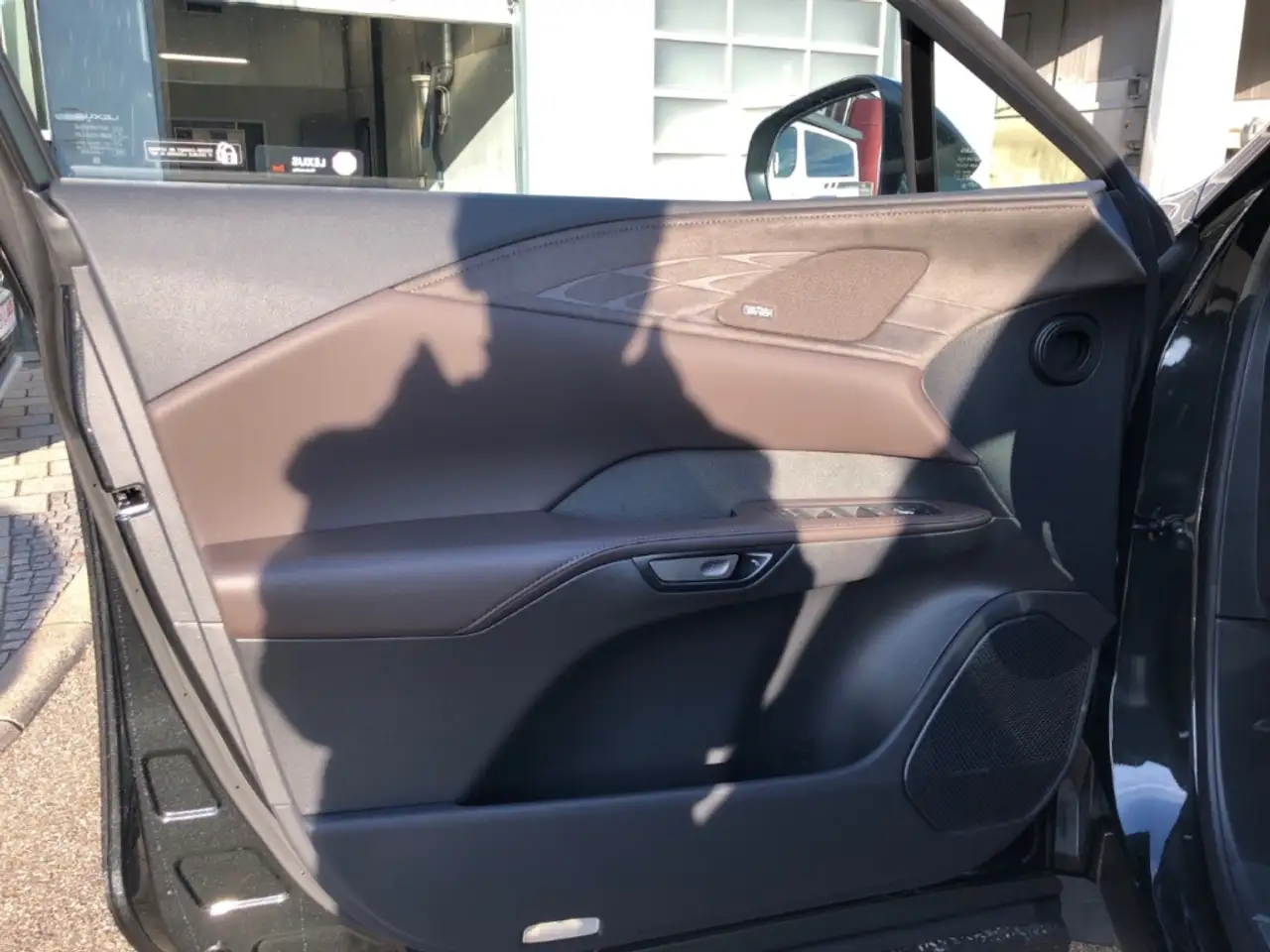 Lexus RX 450h E-FOUR Luxury Panorama Anhängerkupplung 15