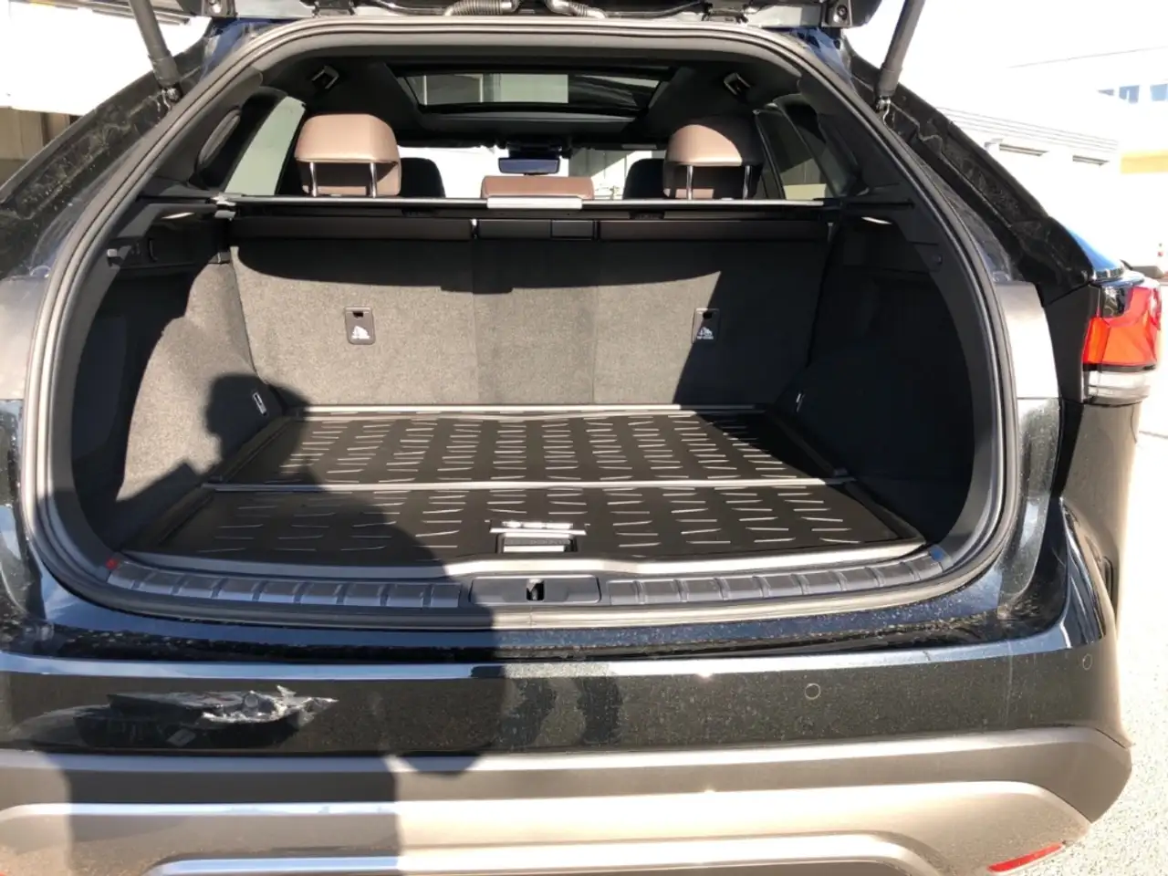 Lexus RX 450h E-FOUR Luxury Panorama Anhängerkupplung 10