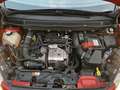 Ford B-Max 1.0 EcoBoost Trend - thumbnail 13