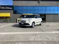 Fiat 500L PRO URBAN 1.3MJET MTA 95CV EURO6D (N1) AUTOMATICA Blanc - thumbnail 27
