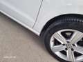 Volkswagen Golf Sportsvan Golf Sportsvan Sky 1,6 BMT TDI Sky Weiß - thumbnail 12