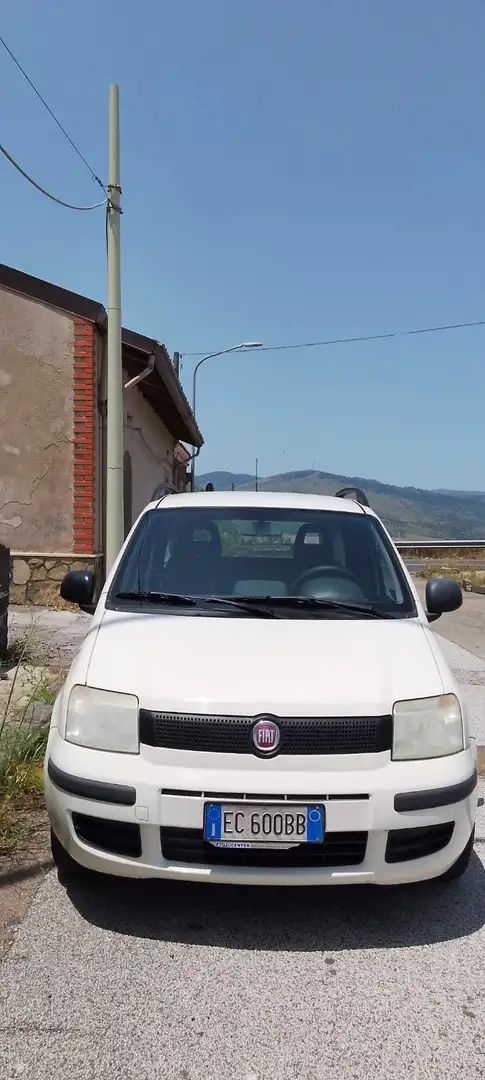 Fiat Panda Panda 1.1 Actual eco (actual) c/abs Bianco - 1