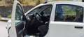 Fiat Panda Panda 1.1 Actual eco (actual) c/abs Bianco - thumbnail 4