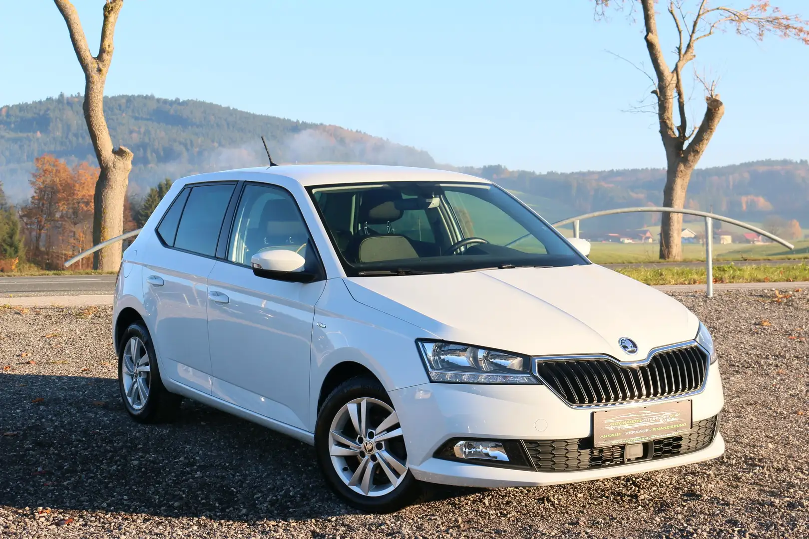 Skoda Fabia Klimatro*Sondermodell*Abstandtem*LED*Assistent* Weiß - 1