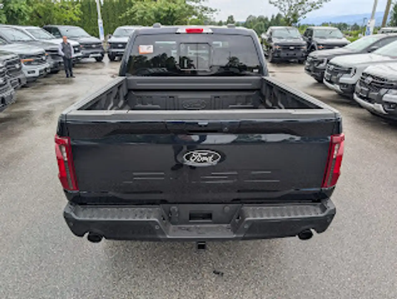 Ford F 150 снимка Ford F 150