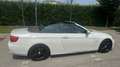 BMW 320 320d Cabrio Eletta 184cv - thumbnail 6