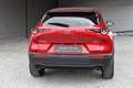 Mazda CX-30 SKYACTIV-G Hybrid SELECTION Design-Paket Rot - thumbnail 7