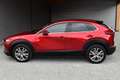 Mazda CX-30 SKYACTIV-G Hybrid SELECTION Design-Paket Rot - thumbnail 5