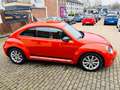 Volkswagen New Beetle Beetle Lim. Club BMT+Navi+Wartung NEU Orange - thumbnail 12