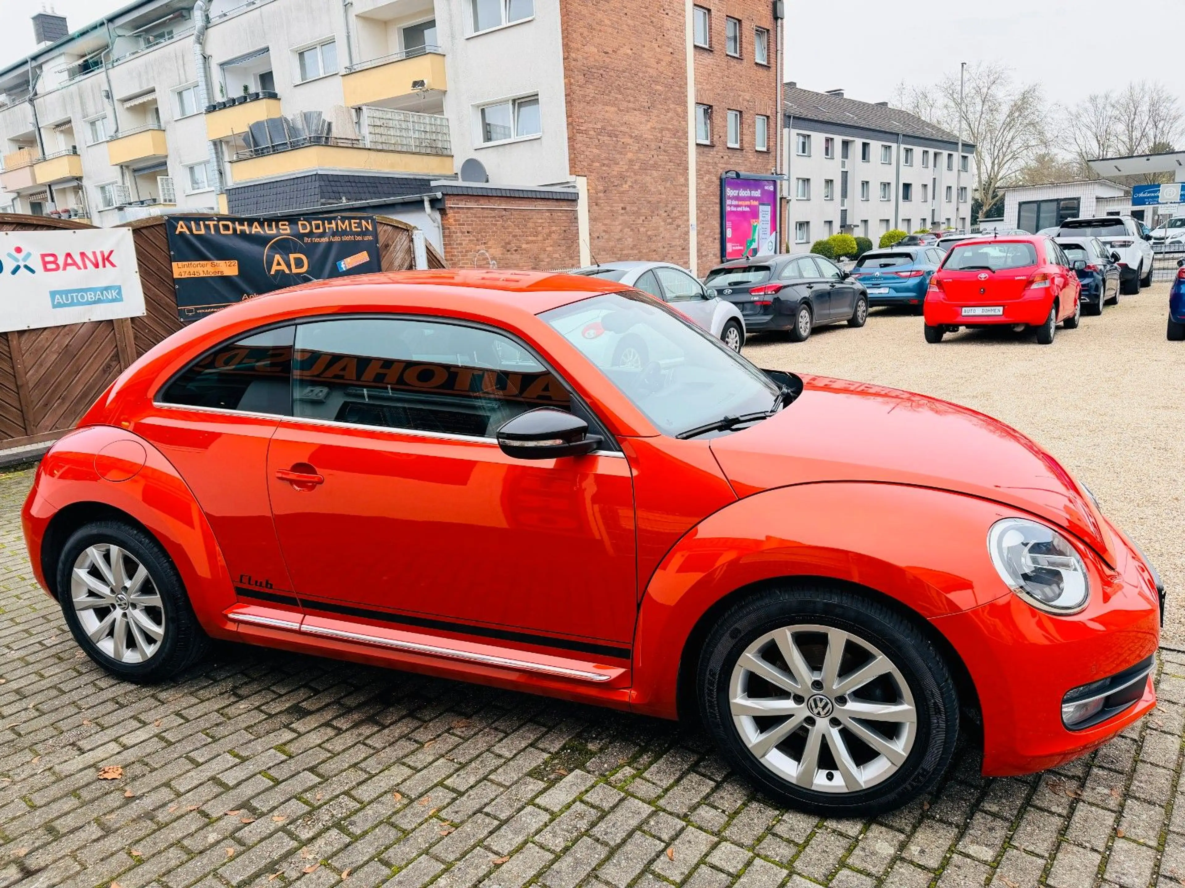 Volkswagen New Beetle Beetle Lim. Club BMT+Navi+Wartung NEU — photo 11