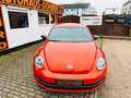 Volkswagen New Beetle Beetle Lim. Club BMT+Navi+Wartung NEU Orange - thumbnail 2