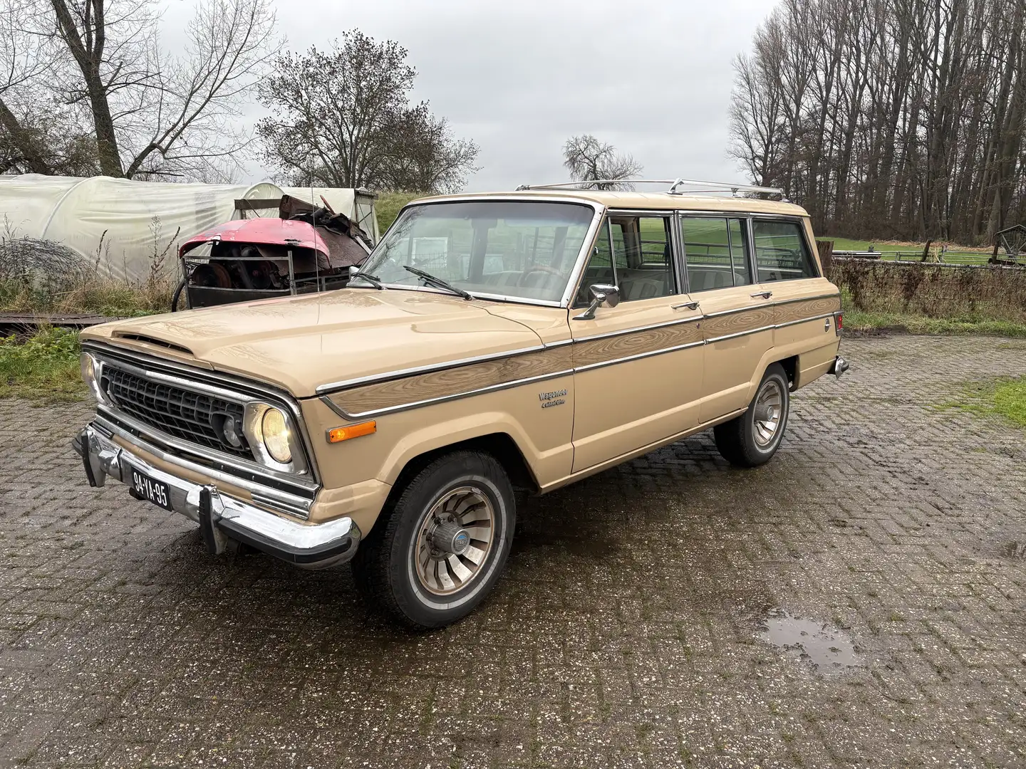 Jeep Wagoneer 5.9 V8 Limited Wagon Lpg Коричневый - 1
