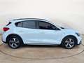 Ford Focus 1.0 ECOBOOST 125 CV ACTIVE Bianco - thumbnail 6