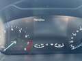 Ford Focus 1.0 ECOBOOST 125 CV ACTIVE Bianco - thumbnail 11