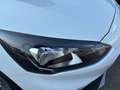 Ford Focus 1.0 ECOBOOST 125 CV ACTIVE Bianco - thumbnail 9