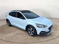 Ford Focus 1.0 ECOBOOST 125 CV ACTIVE Bianco - thumbnail 8