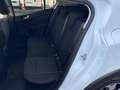 Ford Focus 1.0 ECOBOOST 125 CV ACTIVE Blanc - thumbnail 20