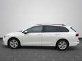 Volkswagen Golf Variant 1.0 TSI SHZ LED KLIMA DAB Weiß - thumbnail 7