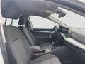 Volkswagen Golf Variant 1.0 TSI SHZ LED KLIMA DAB Weiß - thumbnail 4