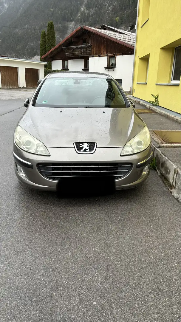 Peugeot 407 135 Esplanade - 1
