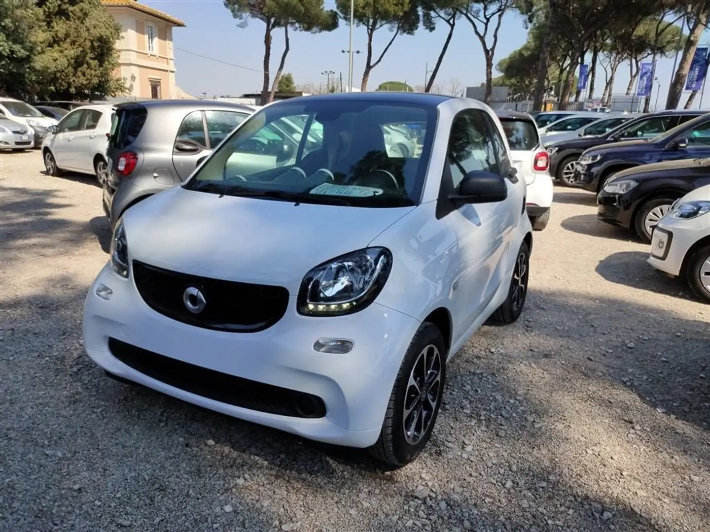 smart forTwo 1.0 ANDROID AUTO,CRUISE,CERCHI LEGA,CLIMA .. Bianco - 1