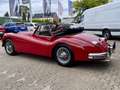 Jaguar XK 140 DHC RHD I 5GANG OVERDRIVE I TOP-ZUSTAND Rouge - thumbnail 5